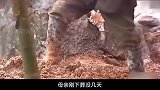 纪录片母亲连续天给儿子托梦，挖坟开棺后，众人被吓得腿发软