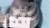 这小孩最近相当的叛逆啊