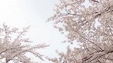 第一眼惊艳，第二眼沦陷，第三眼不负遇见