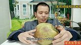 小伙海涛记录第一次吃椰子全过程，没想到开椰子如此简单，美味