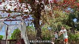 三亚悦榕庄，独栋别墅带泳池，在这里可以看到很美的日落