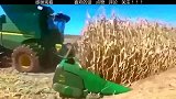 收割玉米后还能自动剥离