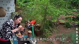 湖北姑娘教你秘制龙虾尾，做法诀窍毫无保留，味道比饭店的还好吃
