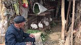 农村80岁大爷为啥要和老伴分居30年？是啥原因？