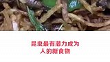昆虫或将成为新食物！你敢吃吗？