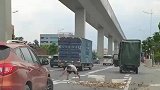 为这位好心的小姐姐点赞