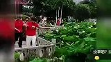 哭笑不得！跳舞大妈倒退拍视频太投入，下一秒跌进荷花池里面