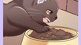 一只被小母鸡带大的小猫咪