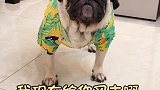 白等半天了……