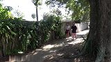 故意伪装成草人吓路人，路人纷纷受到惊吓