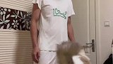 家里猫咪一直缠着老公，绿茶猫咪是不会得逞的