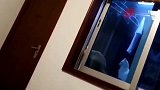 家里的公猫出去跑了一天，晚上从窗户带了只猫回来，网友搞对象
