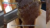 为啥小熊维尼那么爱吃蜂蜜？网友实拍新鲜蜂蜜采摘过程，太馋人了