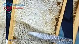 为啥小熊维尼那么爱吃蜂蜜？网友实拍新鲜蜂蜜采摘过程，太馋人了