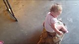 自从爸爸买了只乌龟回来后，宝宝整天骑着它都不想走路了