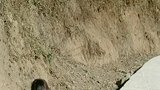 不好意思刚学舞蹈不要笑话我哈