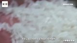 联合国预警粮食危机，多国开始抢购粮食！我们到底要不要囤粮？