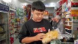 陈翔六点半：这店只能中午开，因为早晚要倒闭！(1)