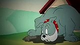 猫和老鼠：汤姆你真厉害，把狗哥嘴拧成麻花了，你要倒霉了！
