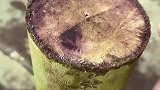 童年的记忆，80后都应该剪过家里的三角皮带吧