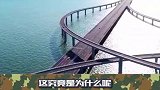这座大桥上就算被罚款，也要停下脚步拍照留念！