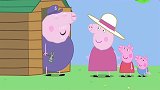 小猪佩奇和乔治来花园玩，猪爷爷盛情款待他们！