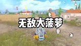 这大菠萝值不值得点个赞
