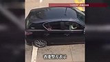 车辆行驶时，小孩坐在司机大腿上“驾车”，22岁内地男子在香港被捕