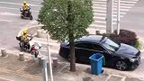 女子让狗狗下去拿外卖