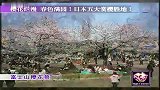 樱花烂漫 春色满园！日本五大赏樱胜地！