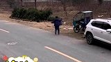 孩子跟着爷爷上山下地，追逐的脚步显得格外欢乐