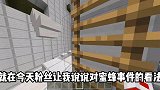 我的世界：关于我对蜜蜂事件的看法，太气愤了！