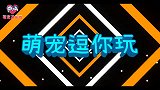 主人让狗狗陪自己聊天被拒绝，听说门外有小母狗拔腿就跑，太逗了