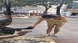 哈哈，不笑你找我