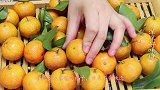 橘子不要随手拿了，超市阿姨教我挑“母”的技巧，个个又甜又新鲜