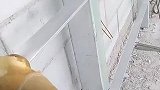 冷静中的温柔的视频