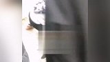 四川安岳一老人落水 年轻男子疑下河救人不幸双双溺亡