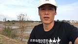 乡村小伙野外垂钓，收工时野生鲈鱼和螺蛳青鱼闹窝，差点拉断鱼竿