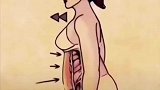 再大的肚子三天就能平