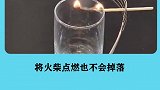 神奇的平衡力啊