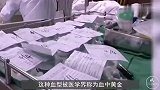 全球最珍稀的“黄金血”，血型比熊猫血稀少，目前仅不到50人