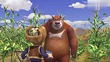 熊出没：蝗虫即将到来，旋风熊熊组合，能在蝗虫来之前收割完成吗