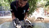 狗狗被沥青困住奄奄一息！被好心人解救后，华丽变身！