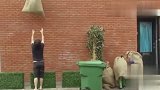 国外恶搞发现从楼上抛下来的麻袋装着小孩，太逗了啊
