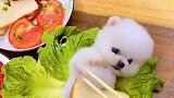 我要上热门