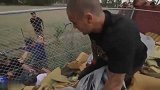 极限-17年-惊险！少年在表演小轮车极限运动时险些飞出安全区 看的让人心惊肉跳-专题