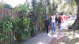 街头恶搞，男子假扮草人吓路人，真是太坏了
