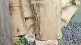 亲手为儿子打造梦幻床，老人退休后的心意