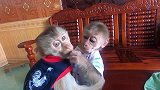 阿布去游乐场玩耍，玩嗨了的猴子都布愿意回家，真当自己是人类了