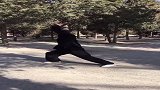 白发师傅习武多年，这一招乌龙盘打，凸显功底深厚